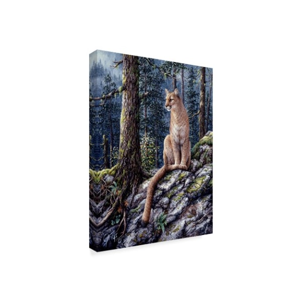 Jeff Tift 'King Of The Forest' Canvas Art,24x32